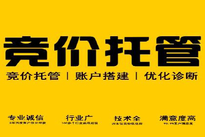成功案例分享：SEM推广优化效果显著